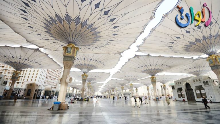 ماذا تعرف عن جعفر بن ابي طالب وماسر محبة رسول الله صلى الله وسلم له؟