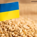 أوكرانيا وازمة تصدير الحبوب ومخاوف من موت الملايين جوعاً