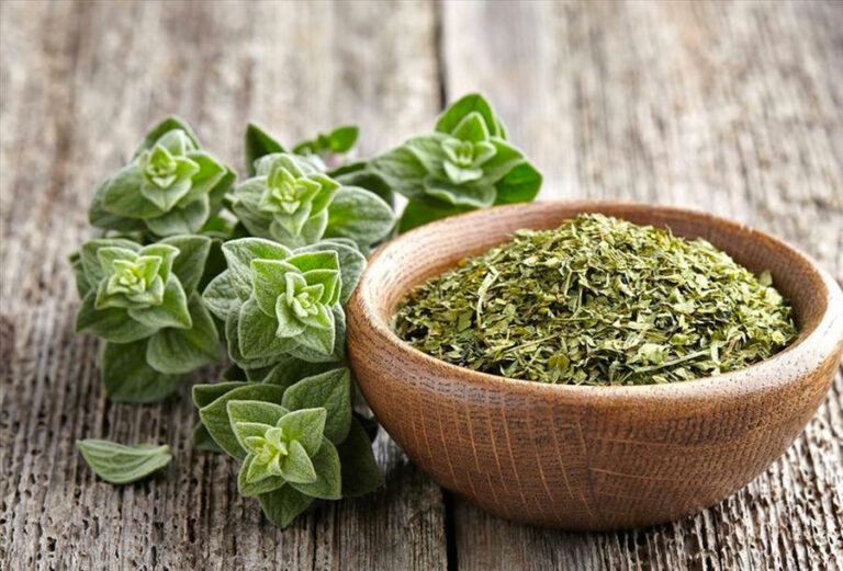 تعرّف على الفوائد الصحّية للزعتر