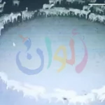 حقيقة لغز دوران الحيوانات الغريبة وتفسيراتها